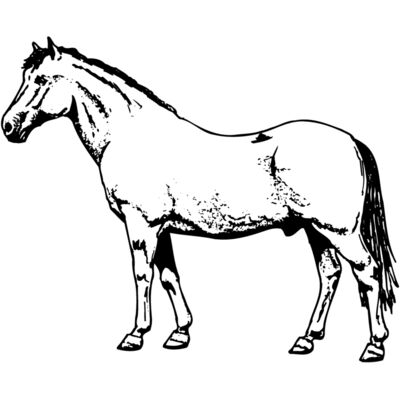 HORSE028 Thumbnail