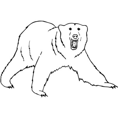 BEAR021 Thumbnail