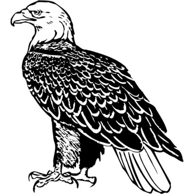 EAGLE017 Thumbnail