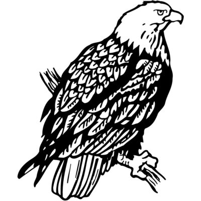 EAGLE024 Thumbnail