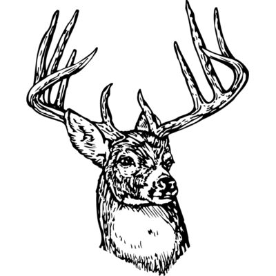 DEER006 Thumbnail