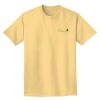 Adult Heavyweight T-Shirt Thumbnail