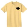 Adult Heavyweight T-Shirt Thumbnail