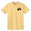 Adult Heavyweight T-Shirt Thumbnail