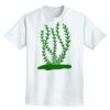Adult Lightweight T-Shirt Thumbnail