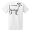Ladies' Midweight RS T-Shirt Thumbnail