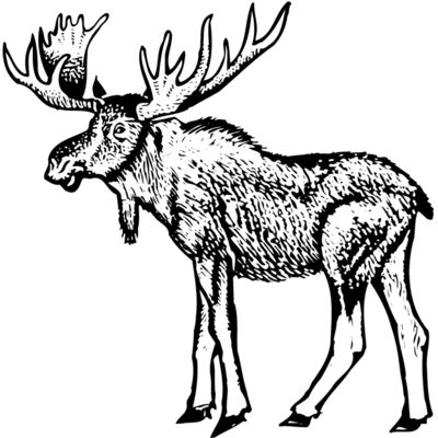 Moose Thumbnail