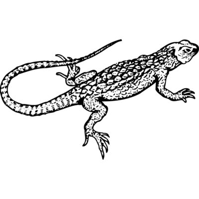 Lizard Thumbnail