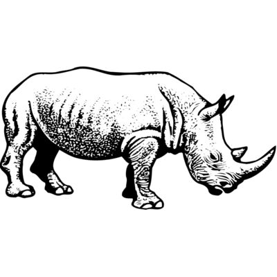 Rhino Thumbnail